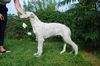 Profile picture of the animal