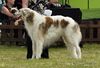 Profile picture of the animal