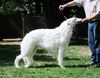 Profile picture of the animal