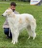 Profile picture of the animal