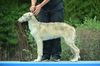 Profile picture of the animal