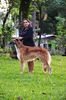 Profile picture of the animal