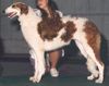 Profile picture of the animal