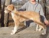 Profile picture of the animal