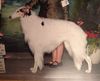 Profile picture of the animal