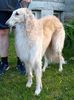 Profile picture of the animal