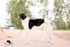 Profile picture of the animal