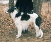 Profile picture of the animal