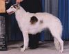 Profile picture of the animal