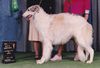 Profile picture of the animal