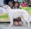 Profile picture of the animal