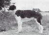 Profile picture of the animal