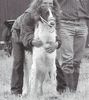 Profile picture of the animal