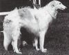 Profile picture of the animal