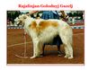 Profile picture of the animal