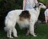 Profile picture of the animal