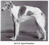 Profile picture of the animal