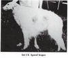 Profile picture of the animal