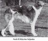 Profile picture of the animal