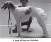Profile picture of the animal