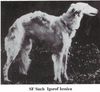 Profile picture of the animal