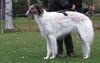 Profile picture of the animal