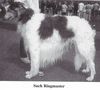 Profile picture of the animal
