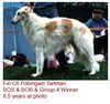 Profile picture of the animal