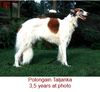 Profile picture of the animal