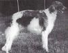 Profile picture of the animal