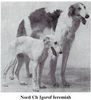 Profile picture of the animal