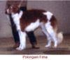 Profile picture of the animal