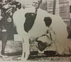 Profile picture of the animal