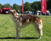 Profile picture of the animal