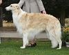 Profile picture of the animal