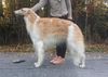 Profile picture of the animal