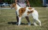Profile picture of the animal