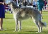 Profile picture of the animal
