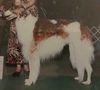Profile picture of the animal