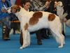 Profile picture of the animal