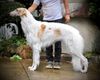 Profile picture of the animal