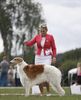 Profile picture of the animal