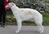 Profile picture of the animal