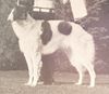 Profile picture of the animal