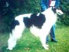 Profile picture of the animal