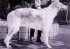 Profile picture of the animal