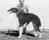 Profile picture of the animal