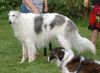Profile picture of the animal