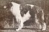 Profile picture of the animal