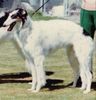 Profile picture of the animal